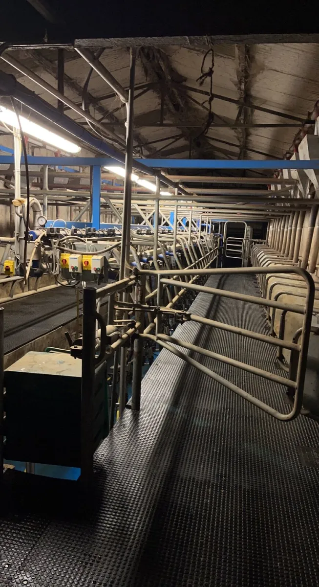 Relief milking - Image 2