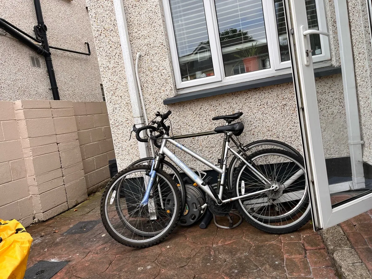 Bikes - Image 1