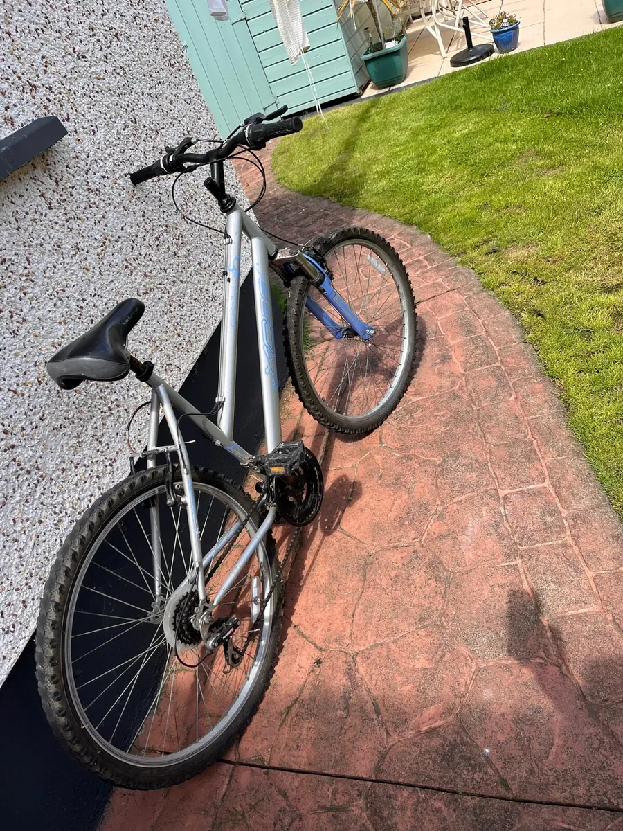 Bikes - Image 2