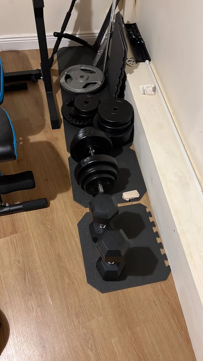 Gym Equipment: Bench, Squat Rack, Weight & Weight - Image 1