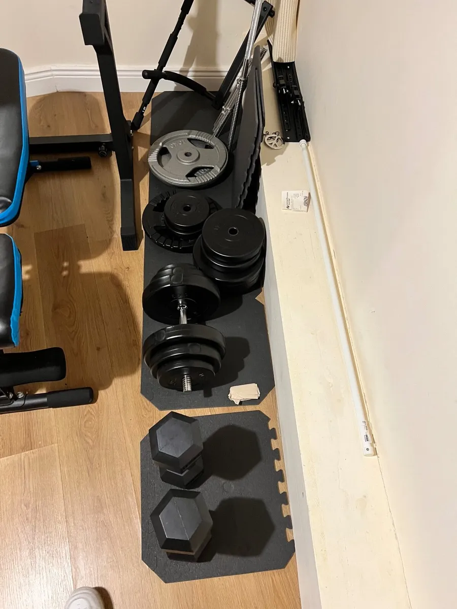 Gym Equipment: Bench, Squat Rack, Weight & Weight - Image 2