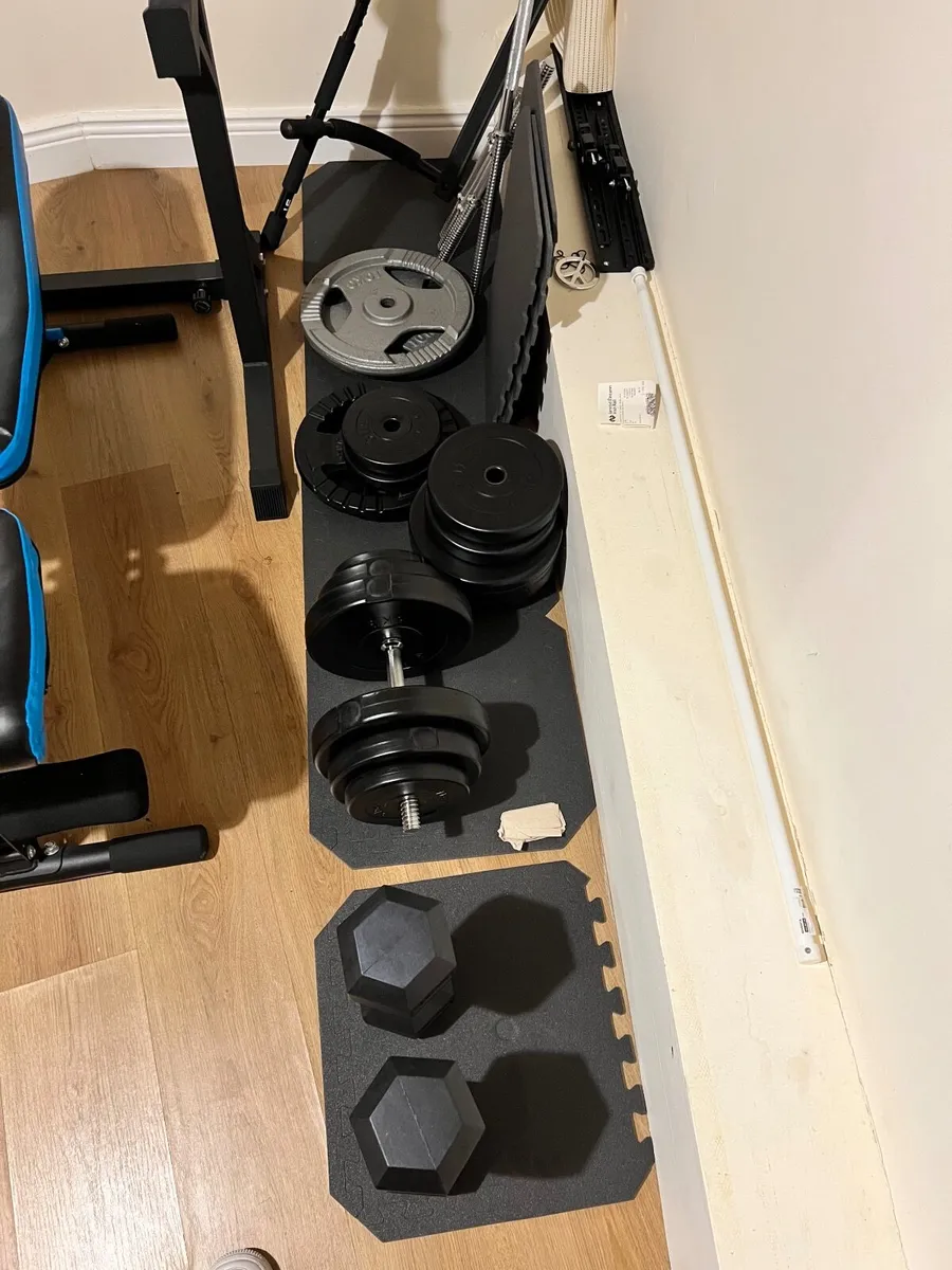 Gym Equipment: Bench, Squat Rack, Weight & Weight - Image 3
