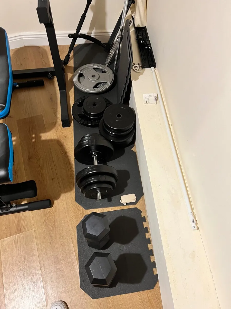 Gym Equipment: Bench, Squat Rack, Weight & Weight - Image 4