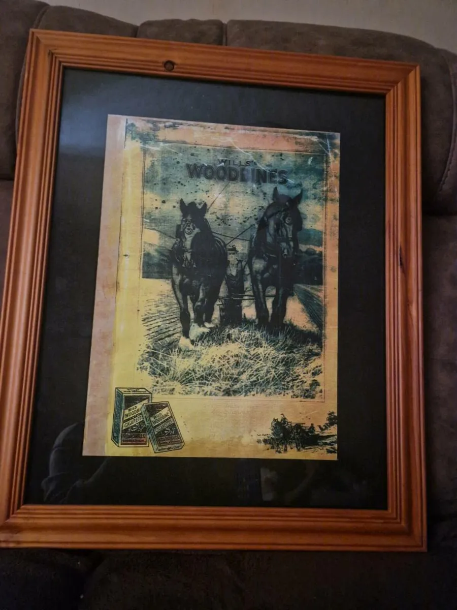 Rare woodbines cigarettes sign
