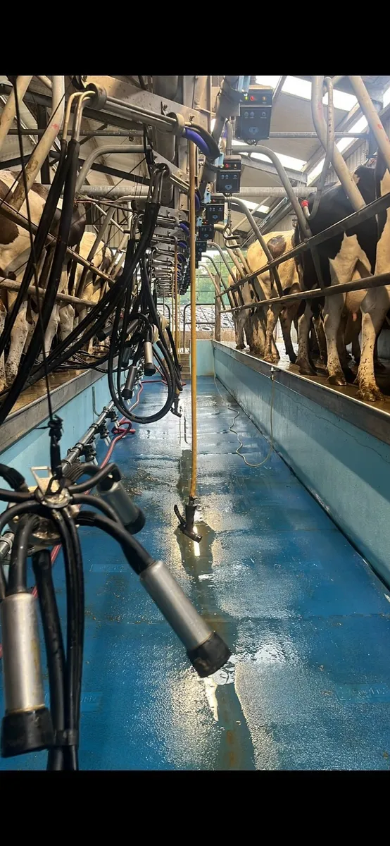 Relief milking - Image 1