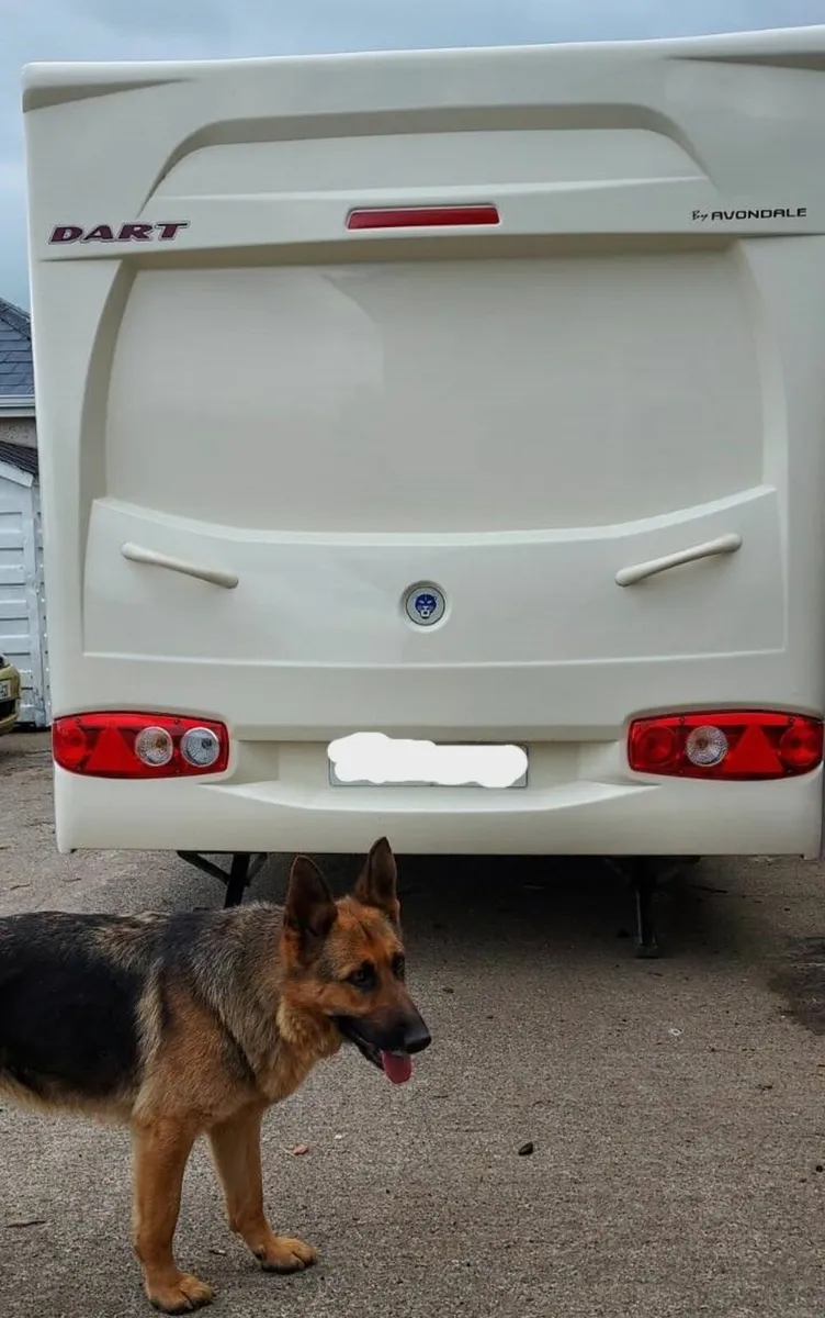 Avondale Dart 470 Caravan - Image 4