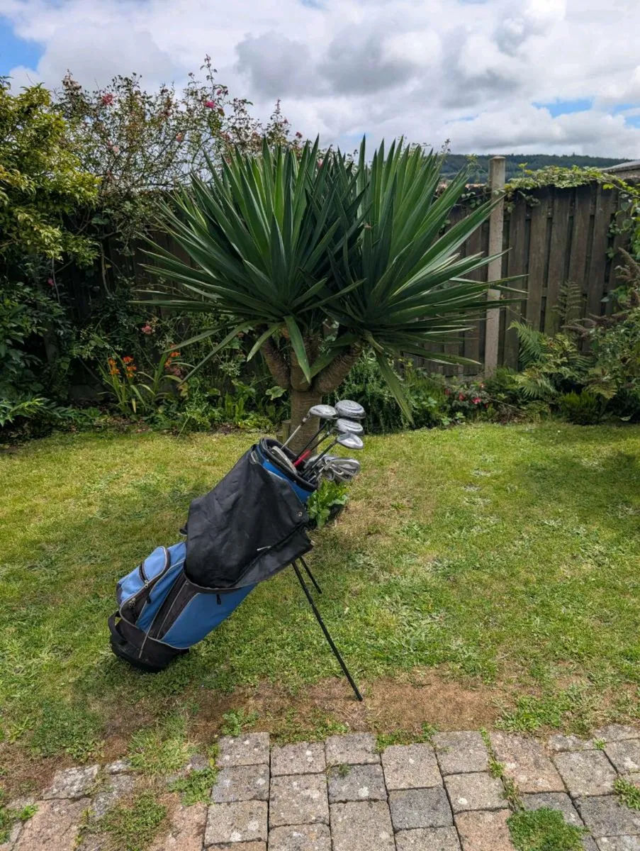 Cheap left handed Golf clubs must go today - Image 1