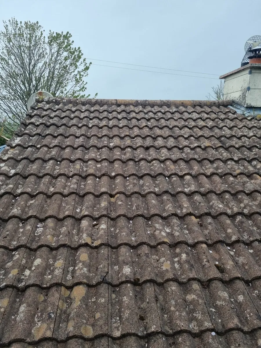 Roof tiles - Image 3