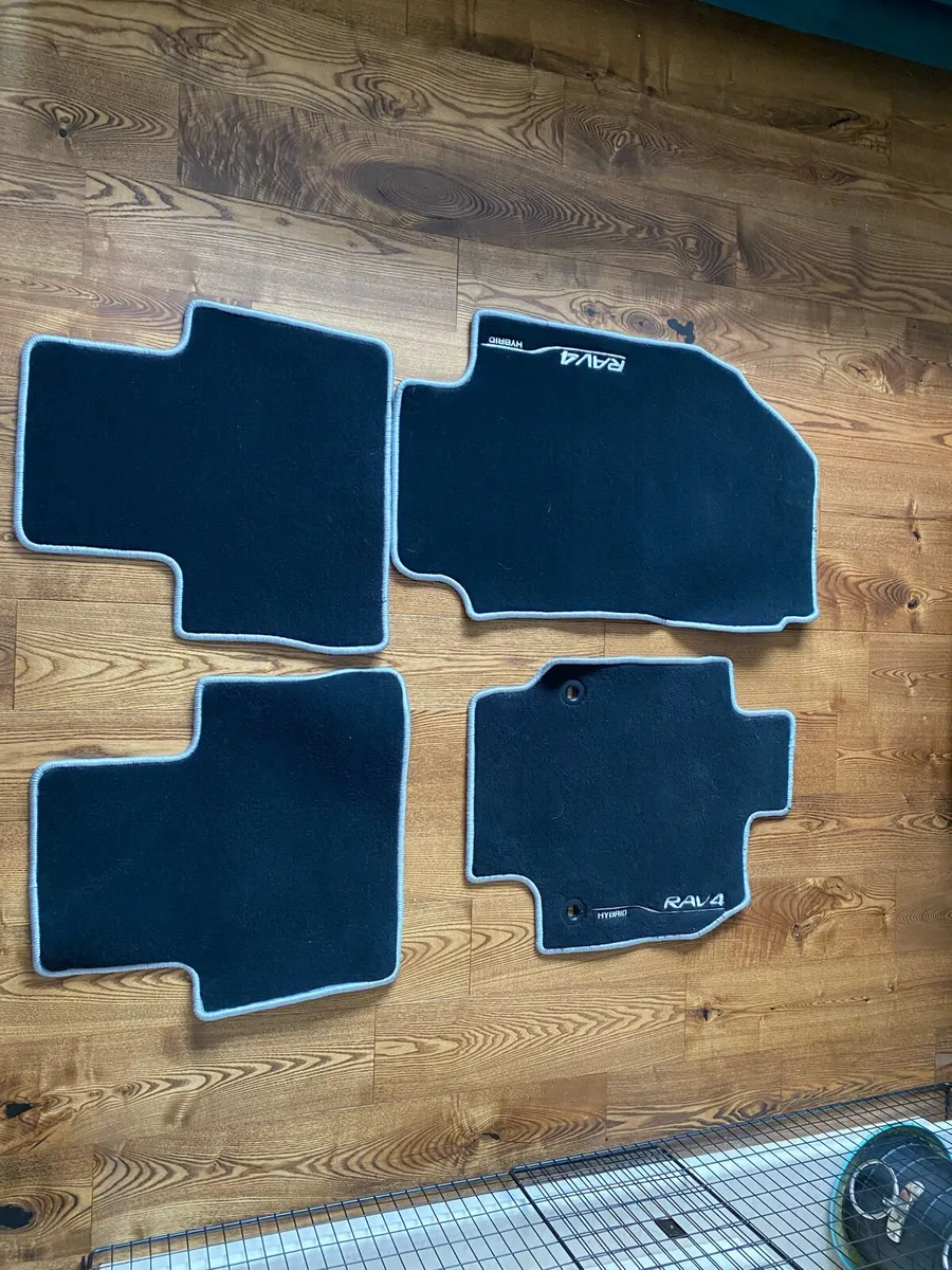 Rav 4 original floor mats - Image 1