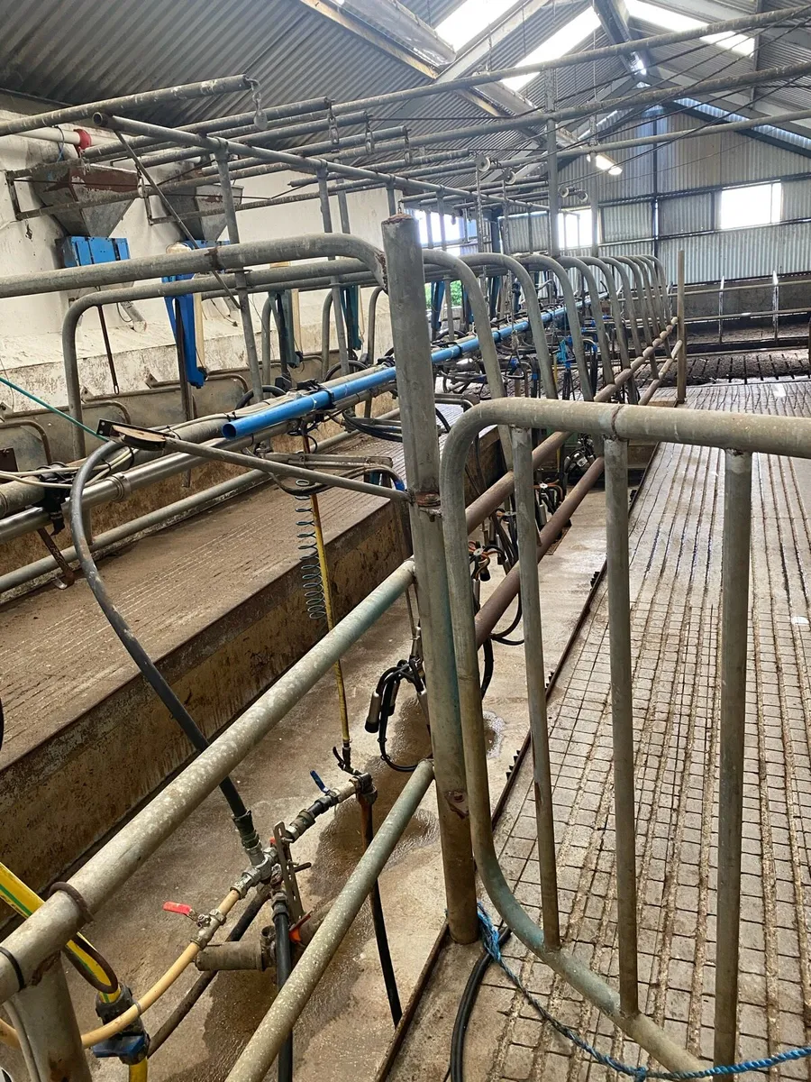 Milking parlour - Image 3