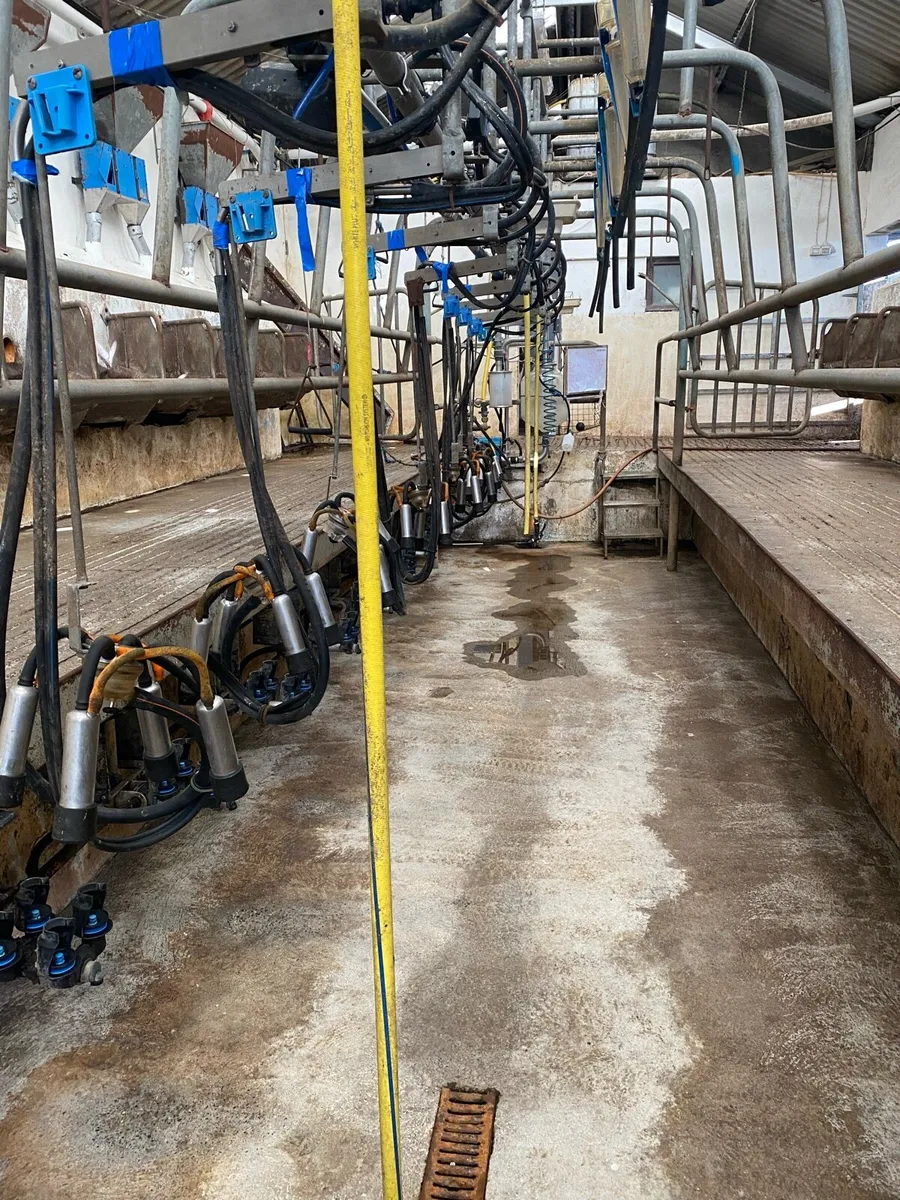 Milking parlour - Image 4