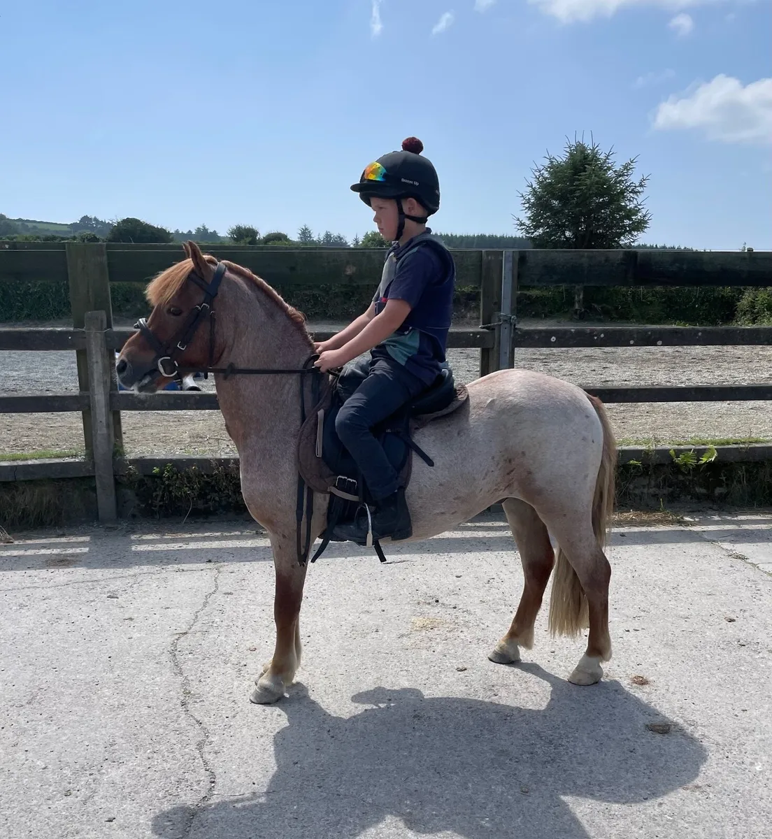 Pony - Image 1