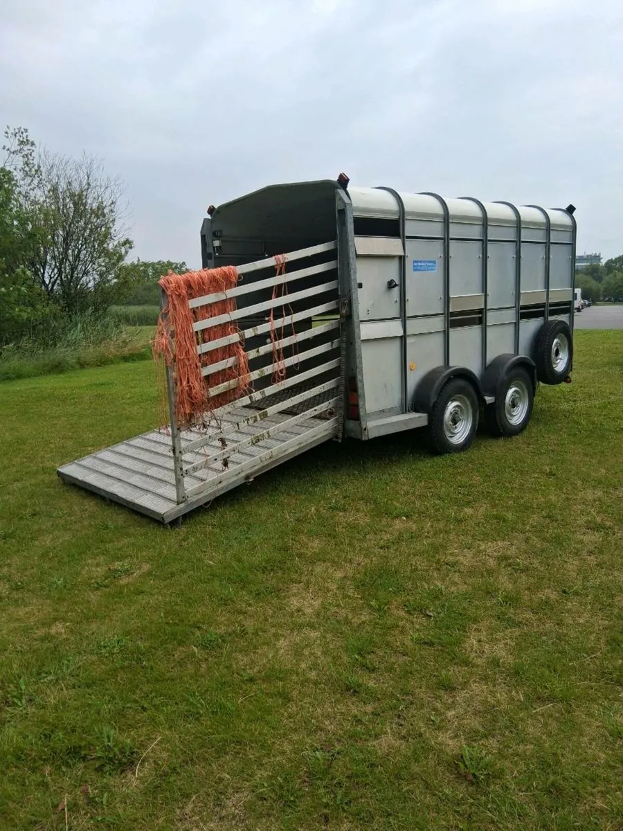 Cattle trailer ifor williams - Image 1