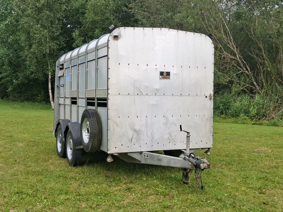 Cattle trailer ifor williams - Image 2