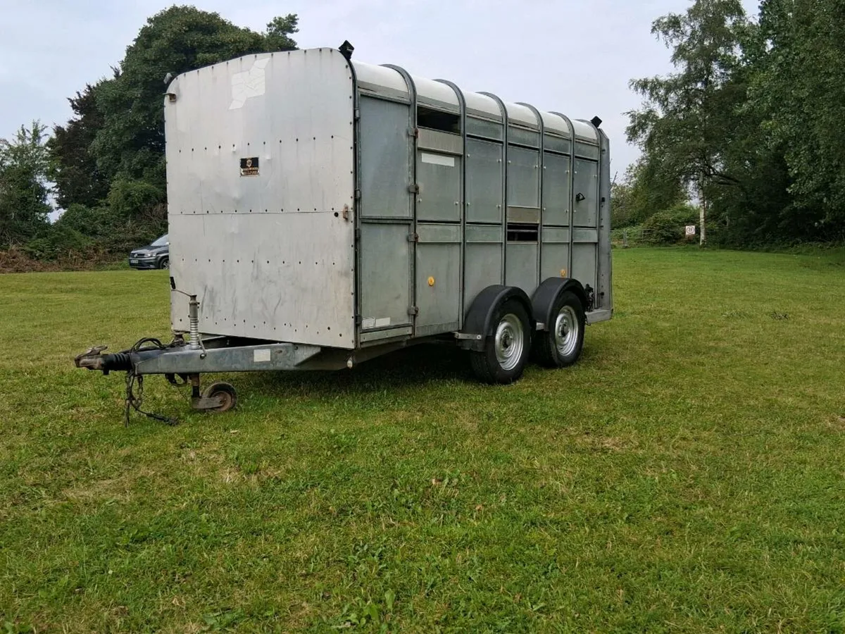 Cattle trailer ifor williams - Image 3