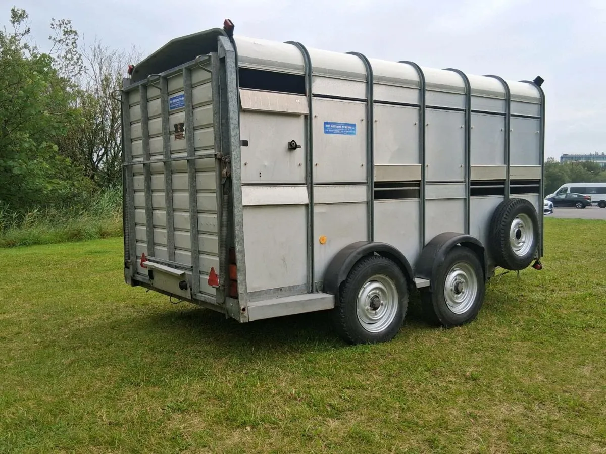 Cattle trailer ifor williams - Image 4