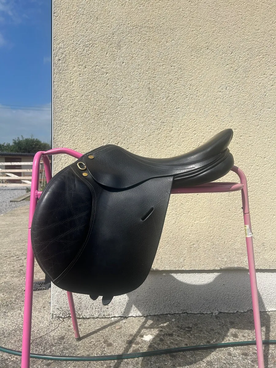 Saddle - Image 2