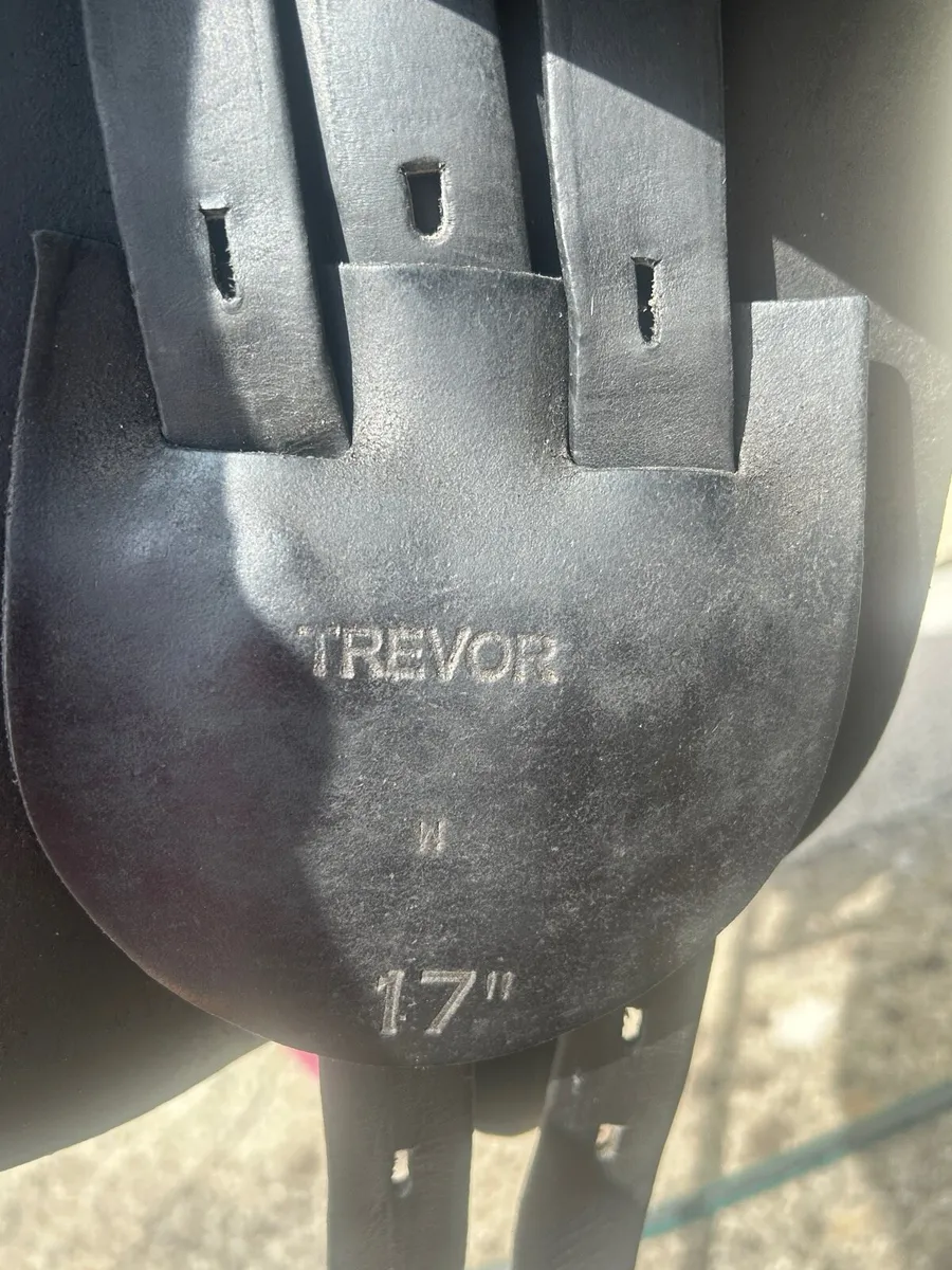 Saddle - Image 4