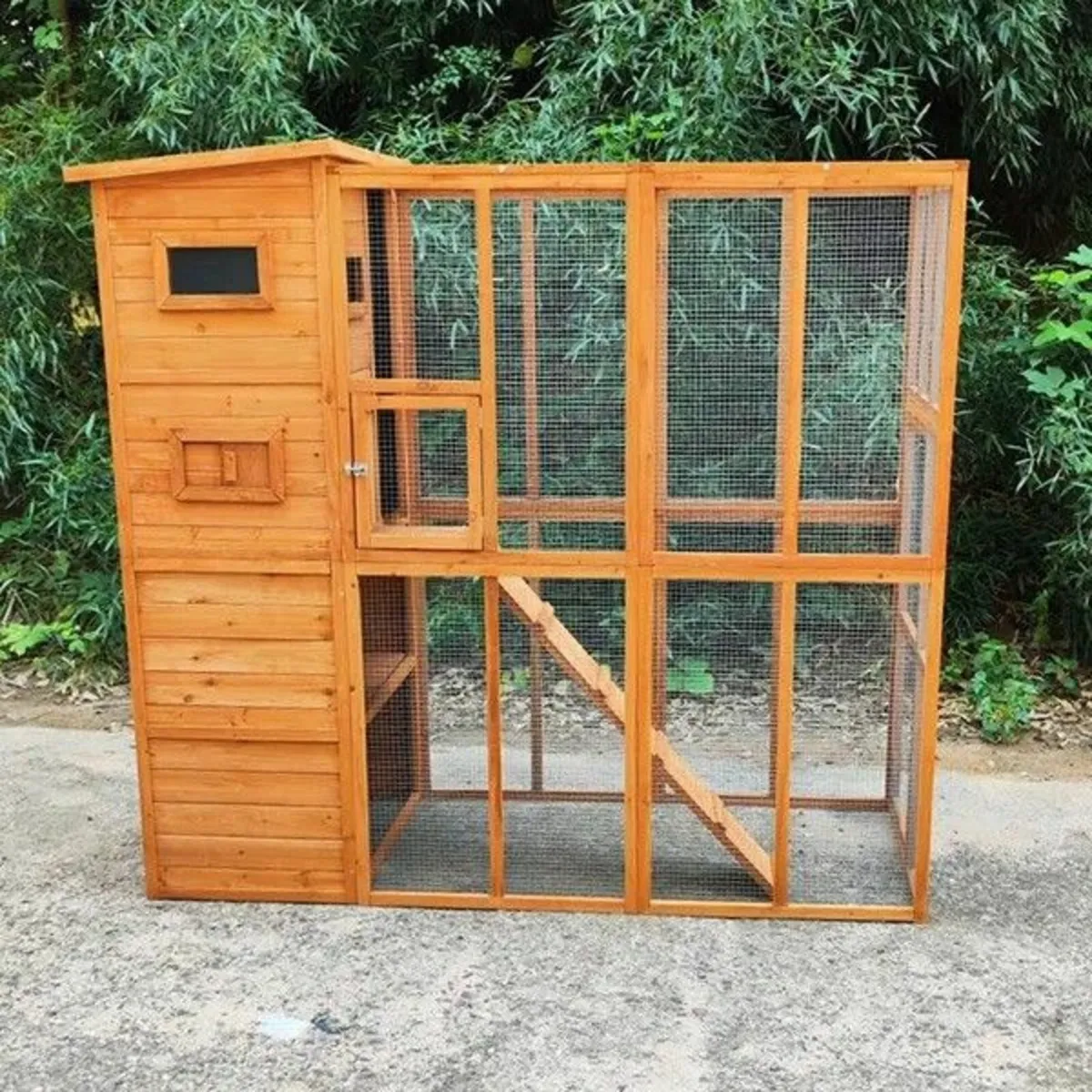 The Cat Camp - Image 1
