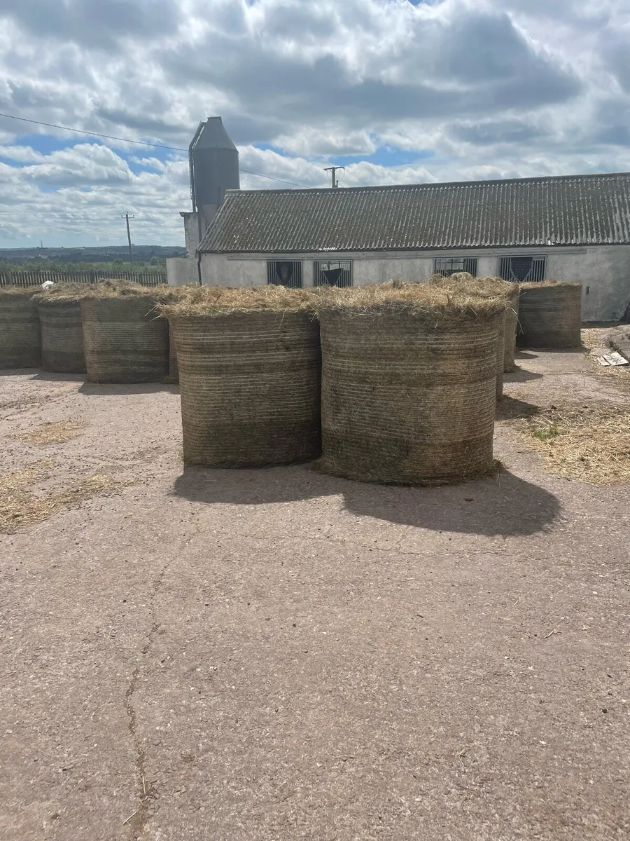 Hay For Sale - Image 1