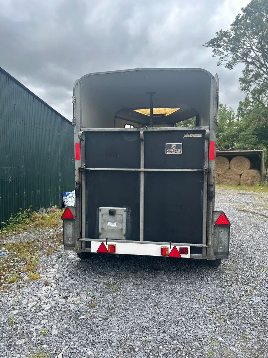 505 Horsebox for sale - Image 4