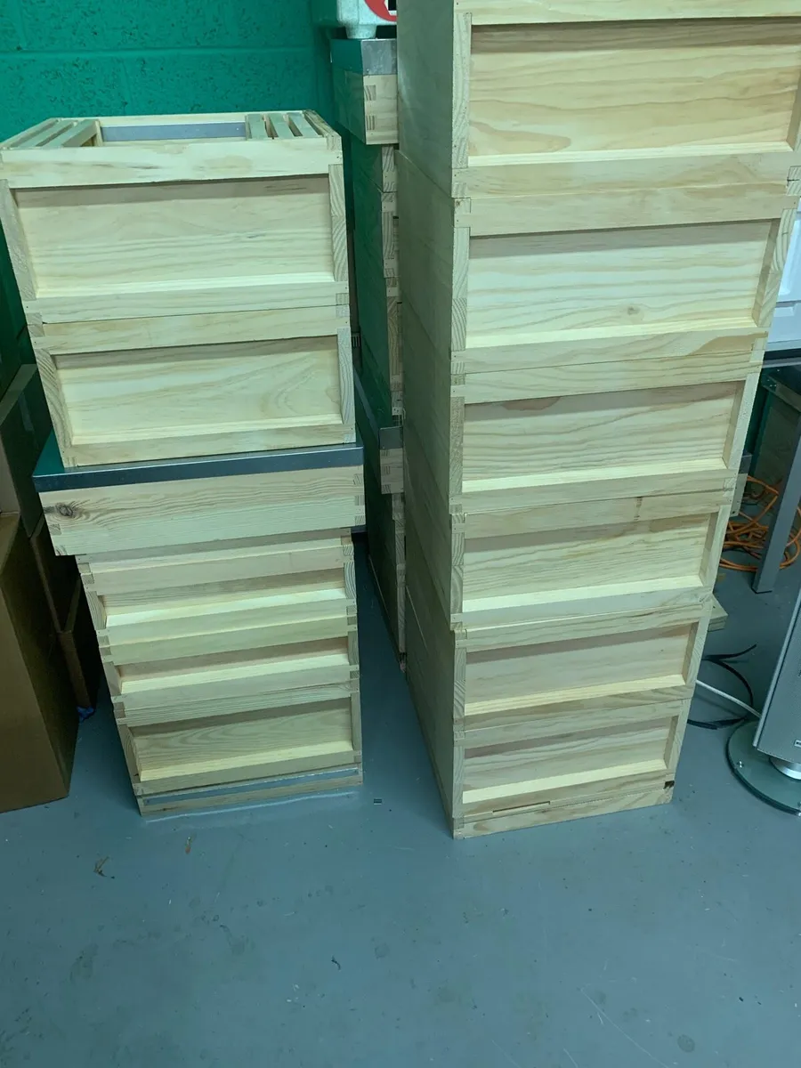 Beehive built and ready for bees - Image 2