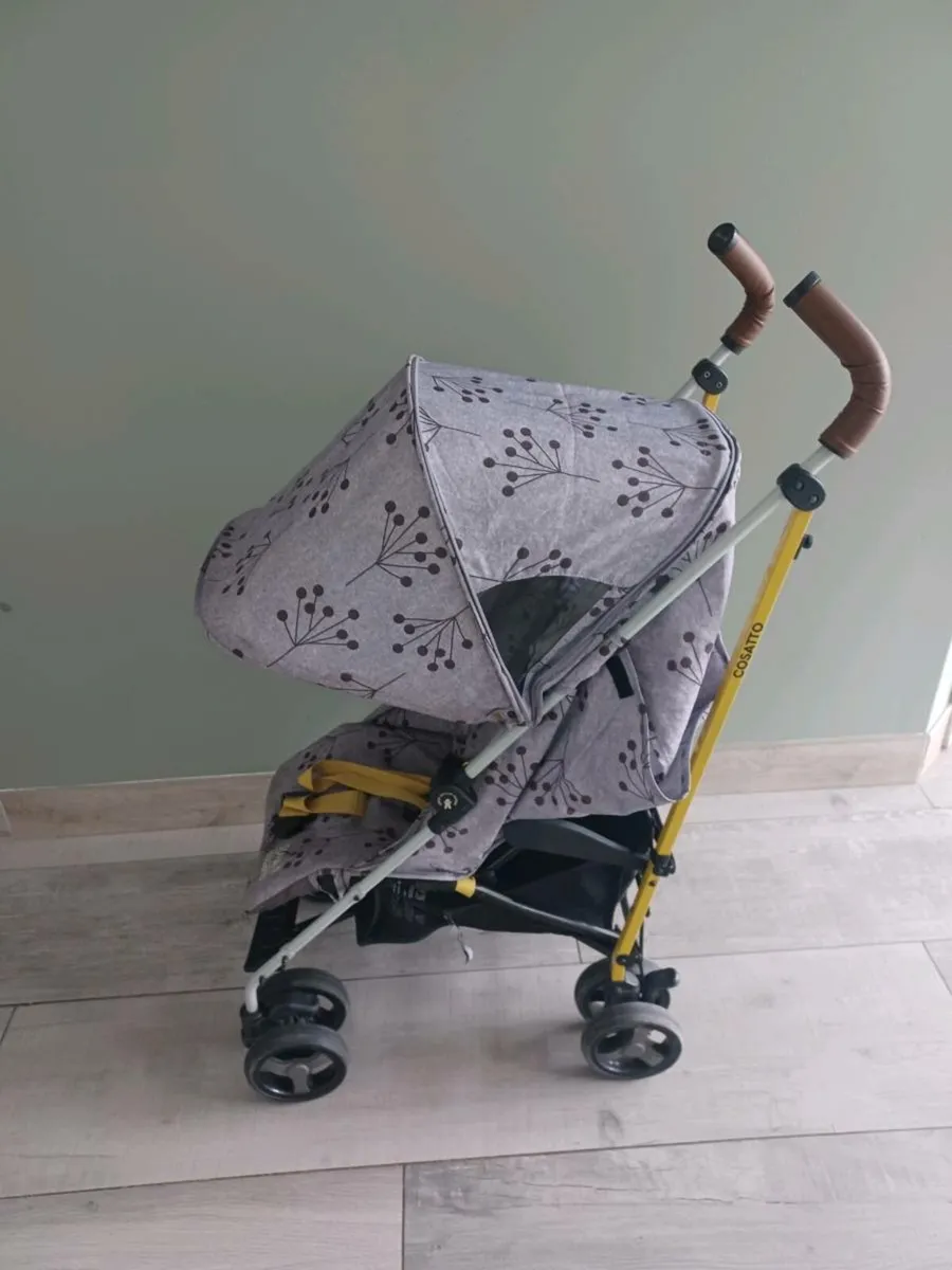 Buggy - Image 1