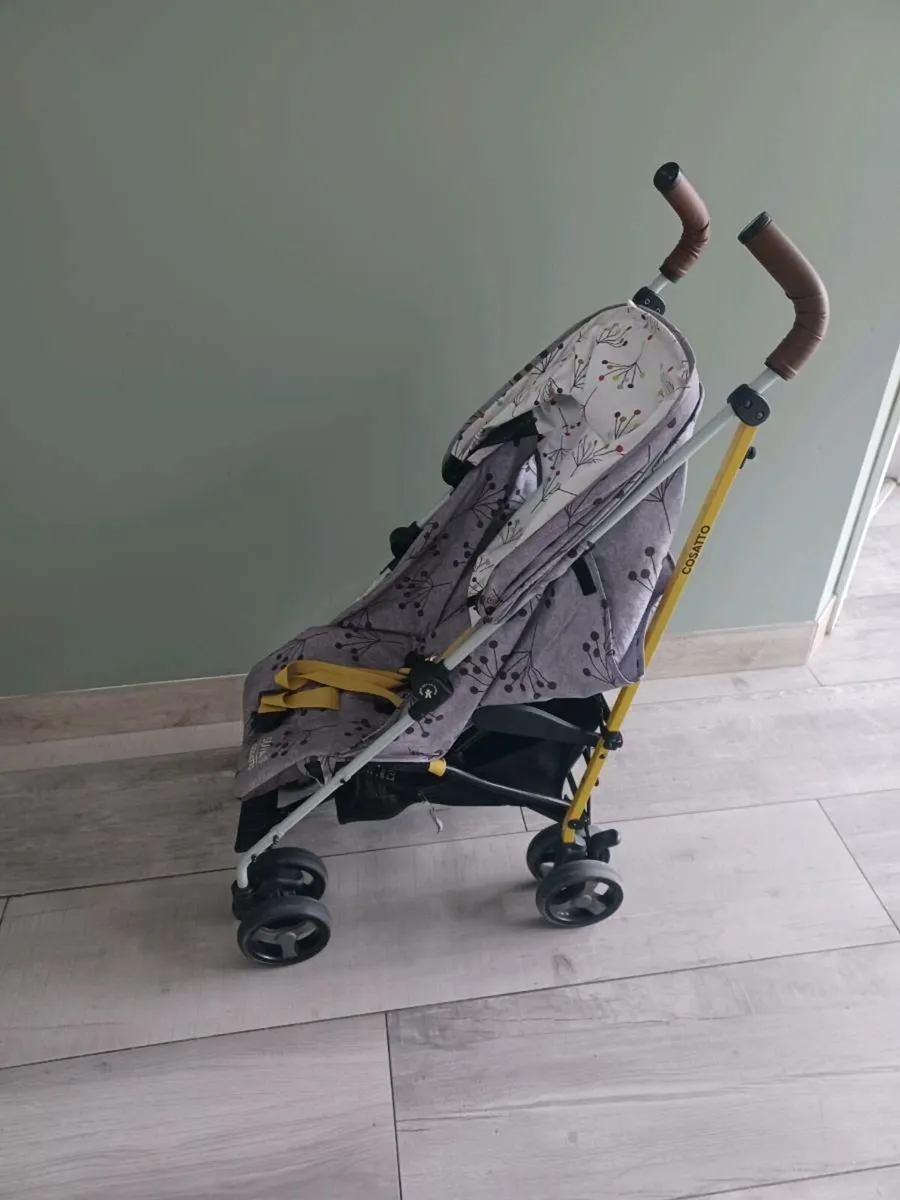 Buggy - Image 2