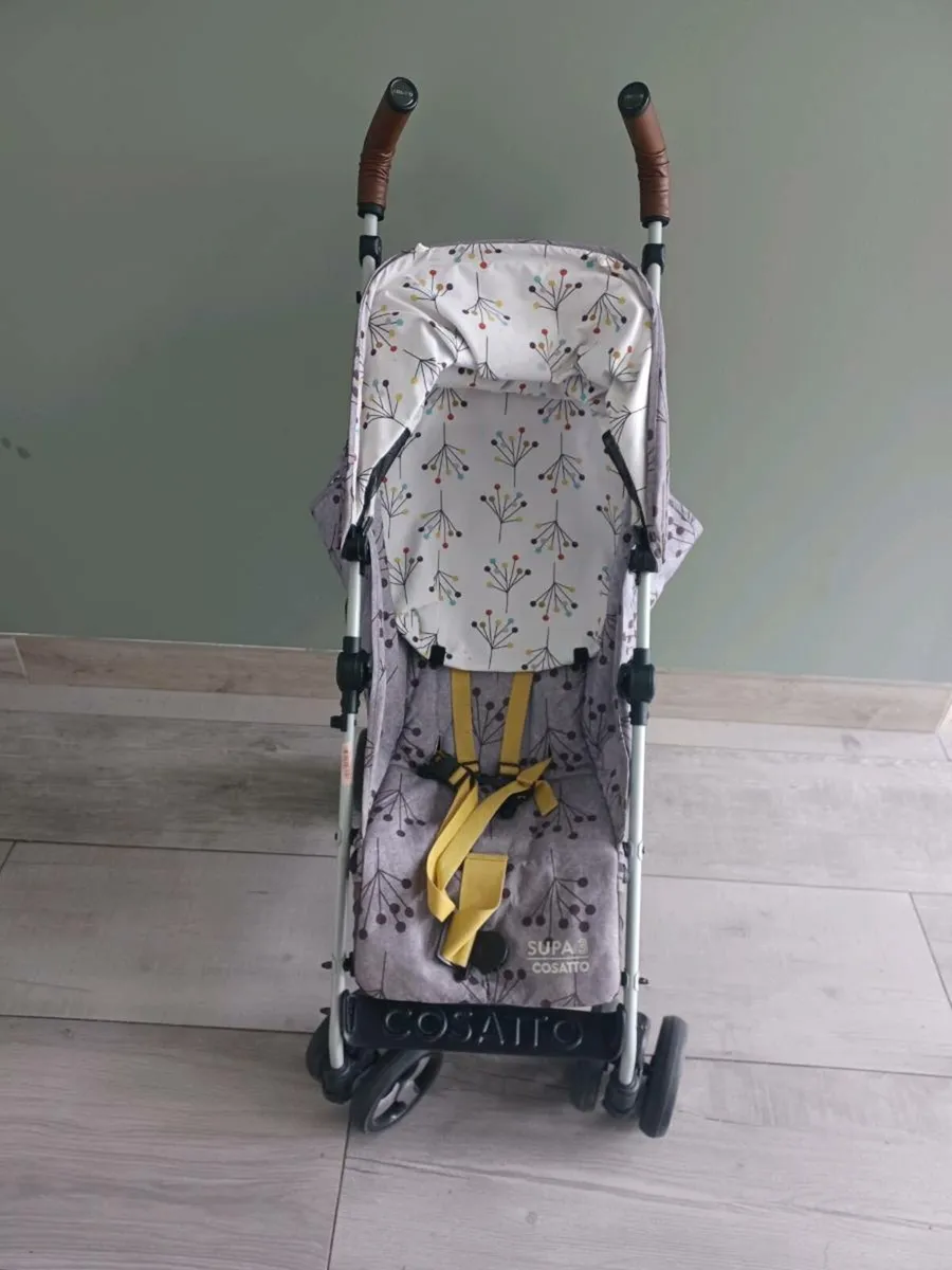 Buggy - Image 4