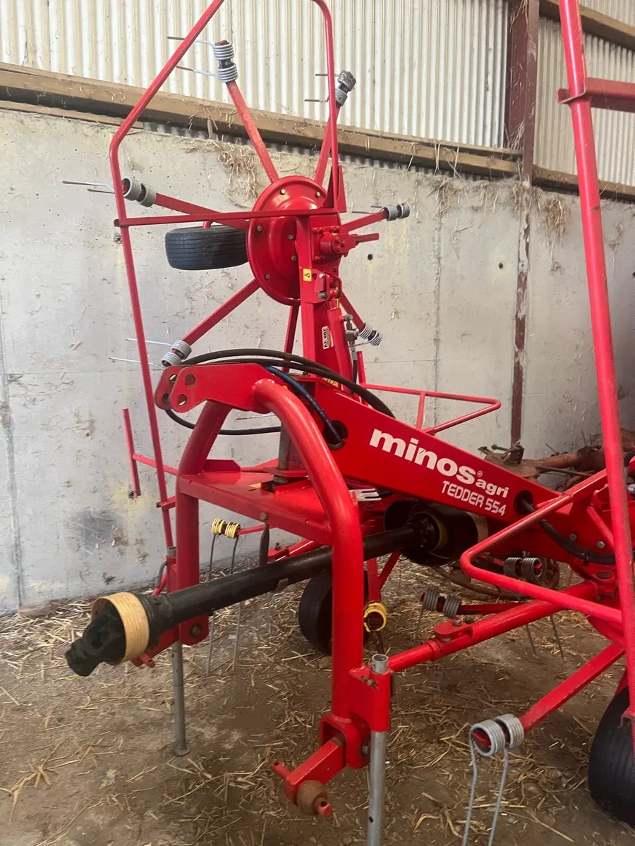 Minos Tedder - Image 2
