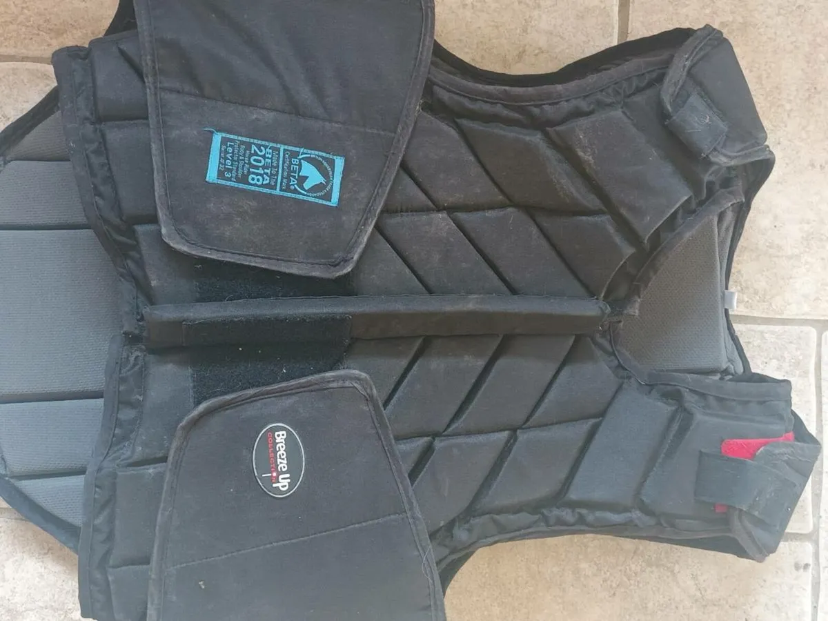 Adult back protector - Image 1