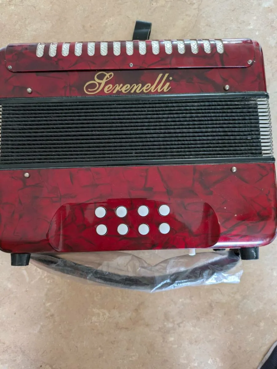 Accordion - Image 1