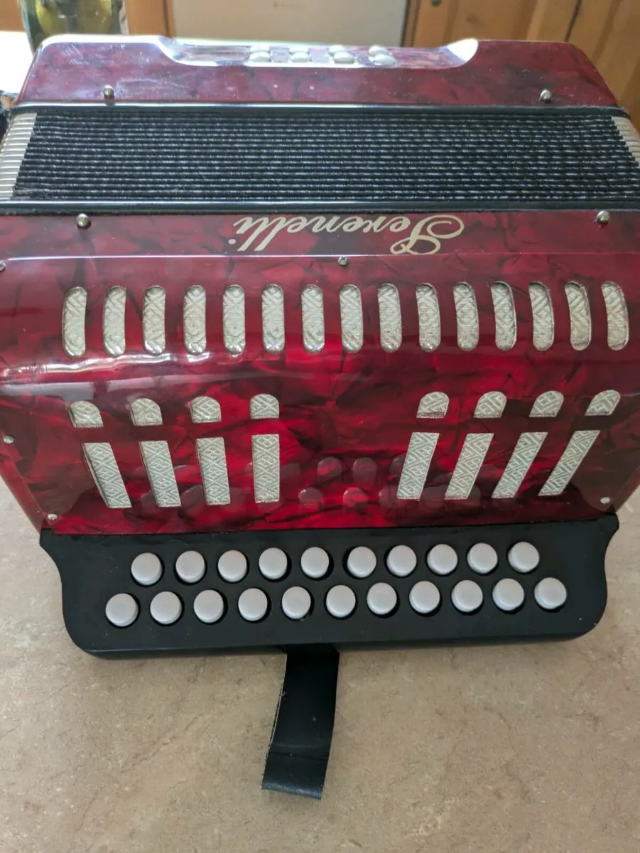 Accordion - Image 2
