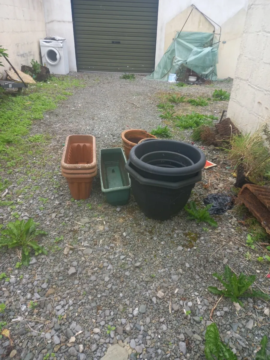 Flower pots - Image 1