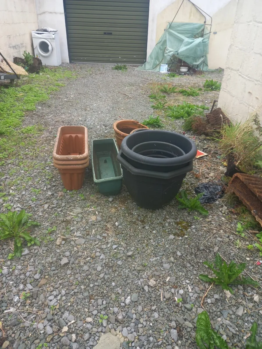 Flower pots - Image 2