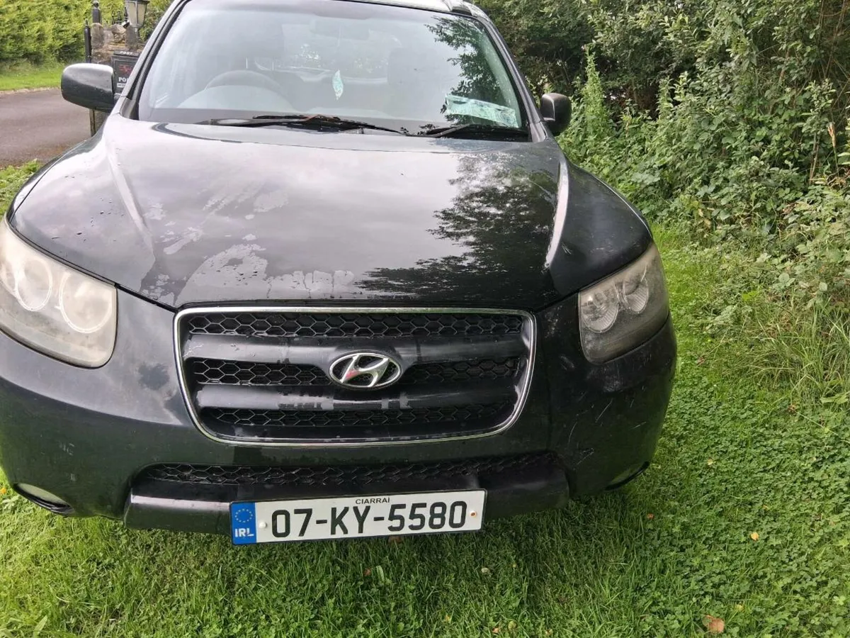 07 hyundai santefe tax,doe tested - Image 1