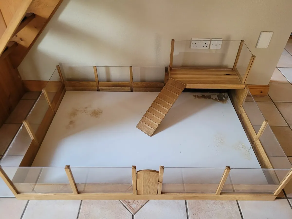 Guinea pig house - Image 2
