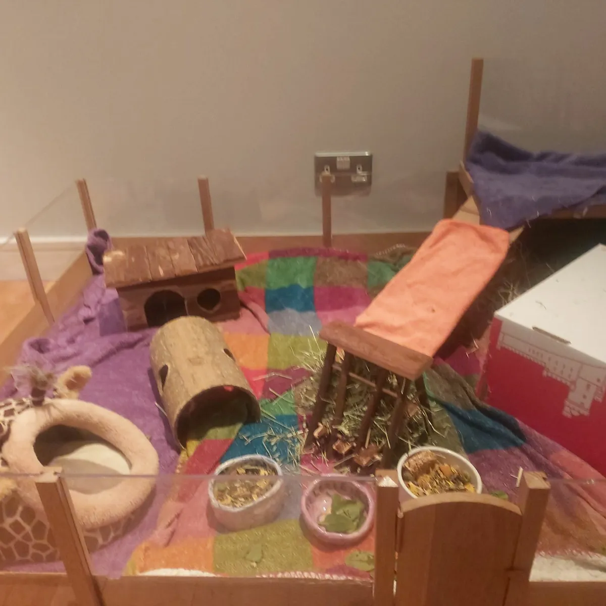 Guinea pig house - Image 1