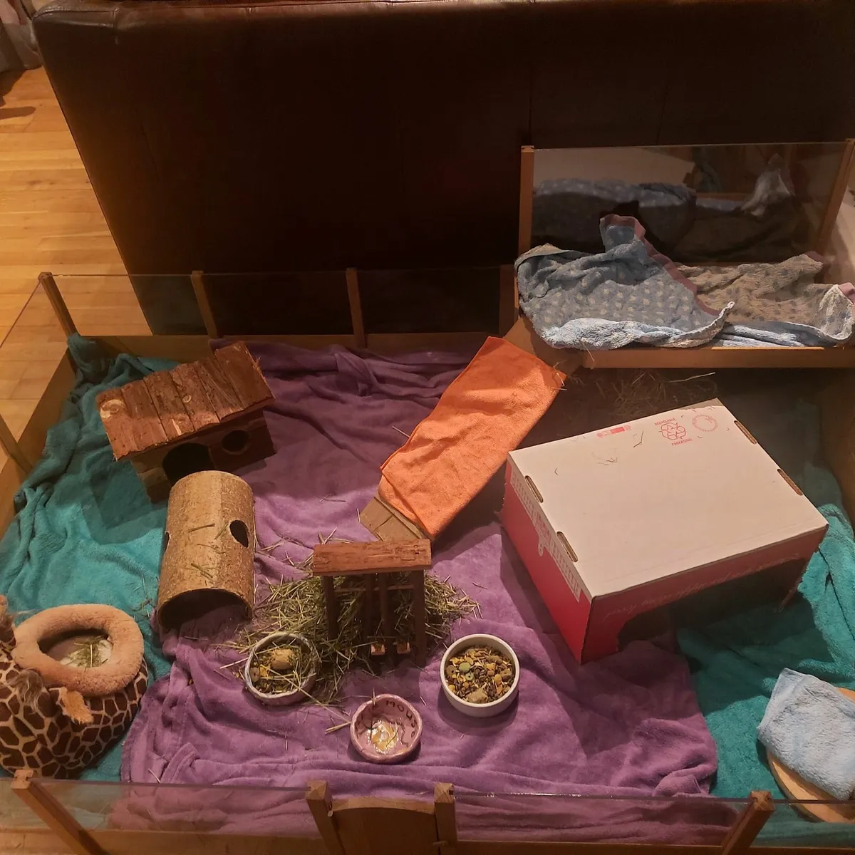 Guinea pig house - Image 3
