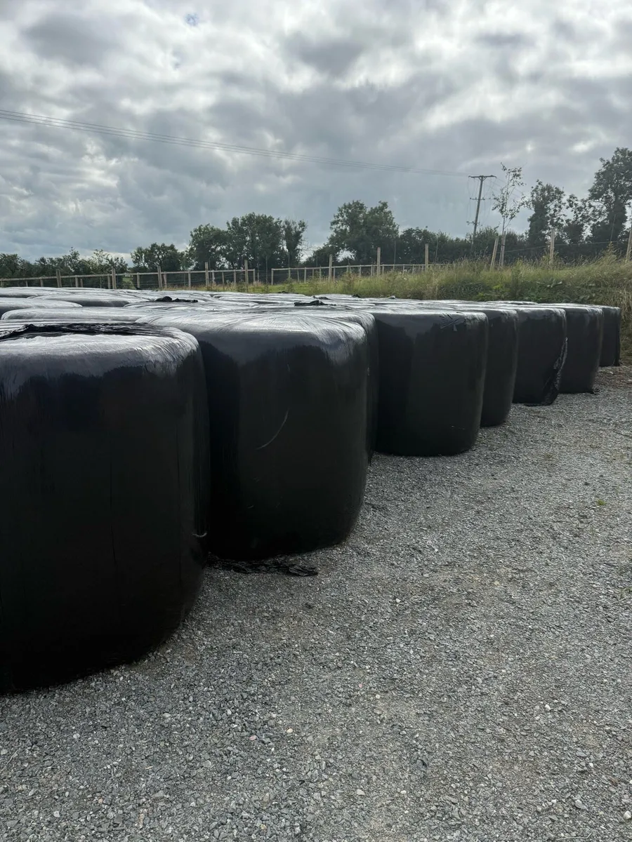 Organic Haylage - Image 1
