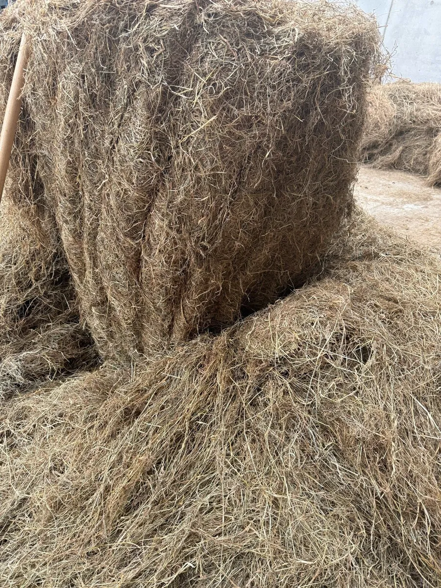 Organic Haylage - Image 2