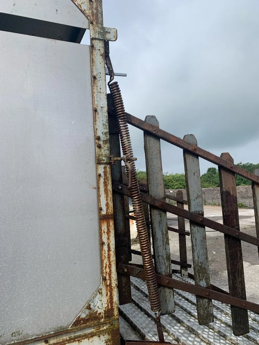 Cattle Trailer - Image 3