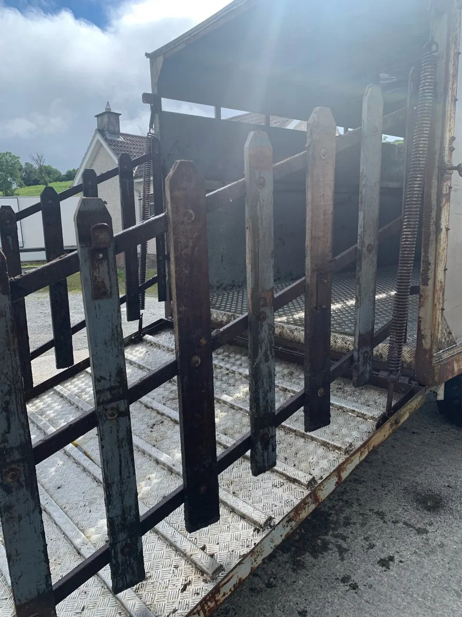 Cattle Trailer - Image 4