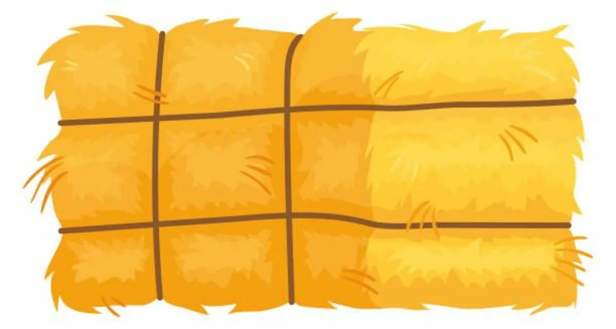 Hay or Silage