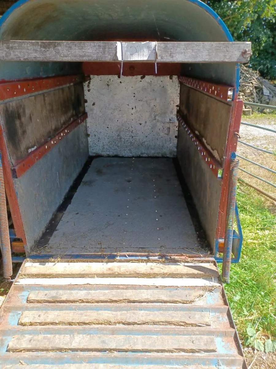 Cattle Trailer/ Calf box - Image 1