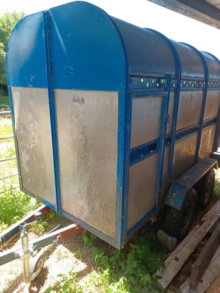 Cattle Trailer/ Calf box - Image 4