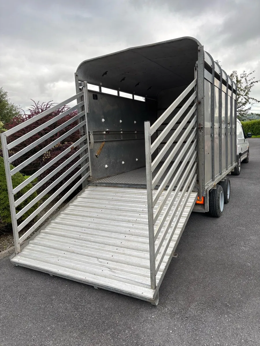 10x6”6 Ifor Williams demountable Cattle Box - Image 2