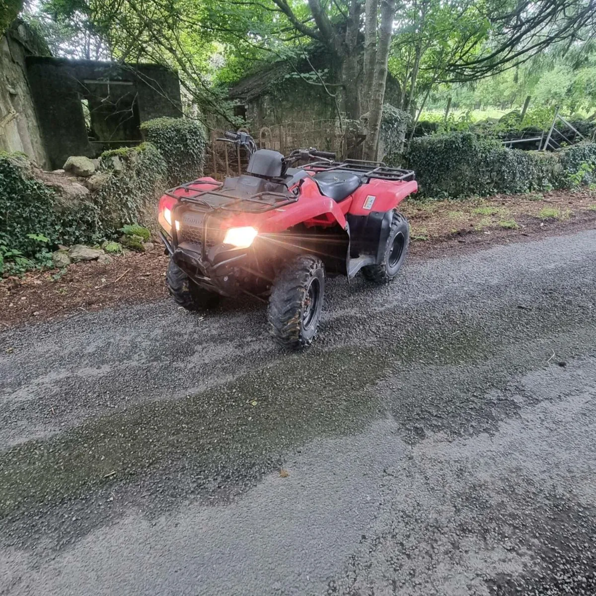 2017 Honda 420 fourtrax - Image 1