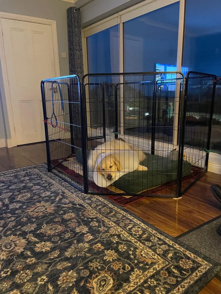 Dog crate