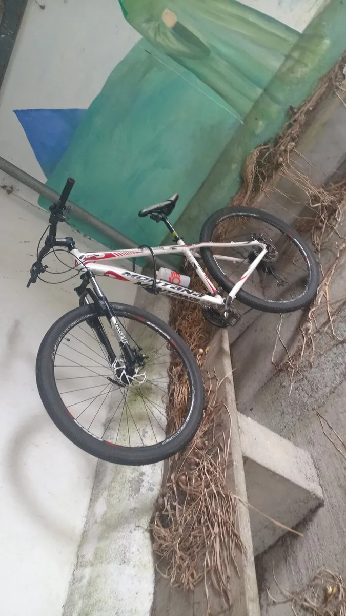 Montana bicycle